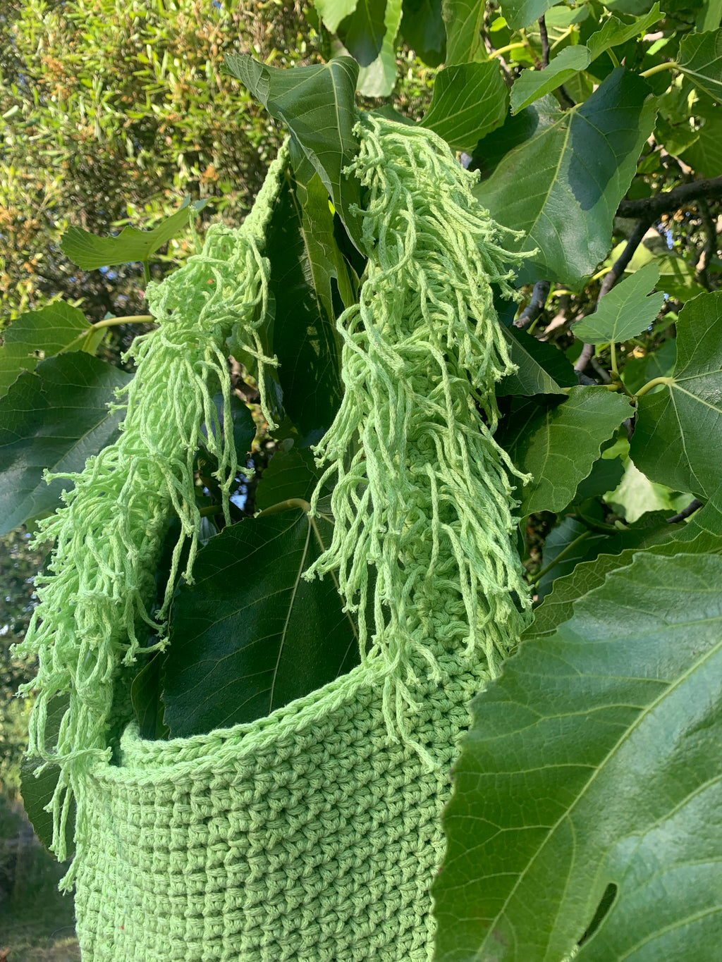 Nanoush Bag anis