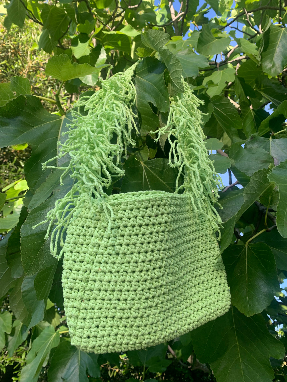 Nanoush Bag anis