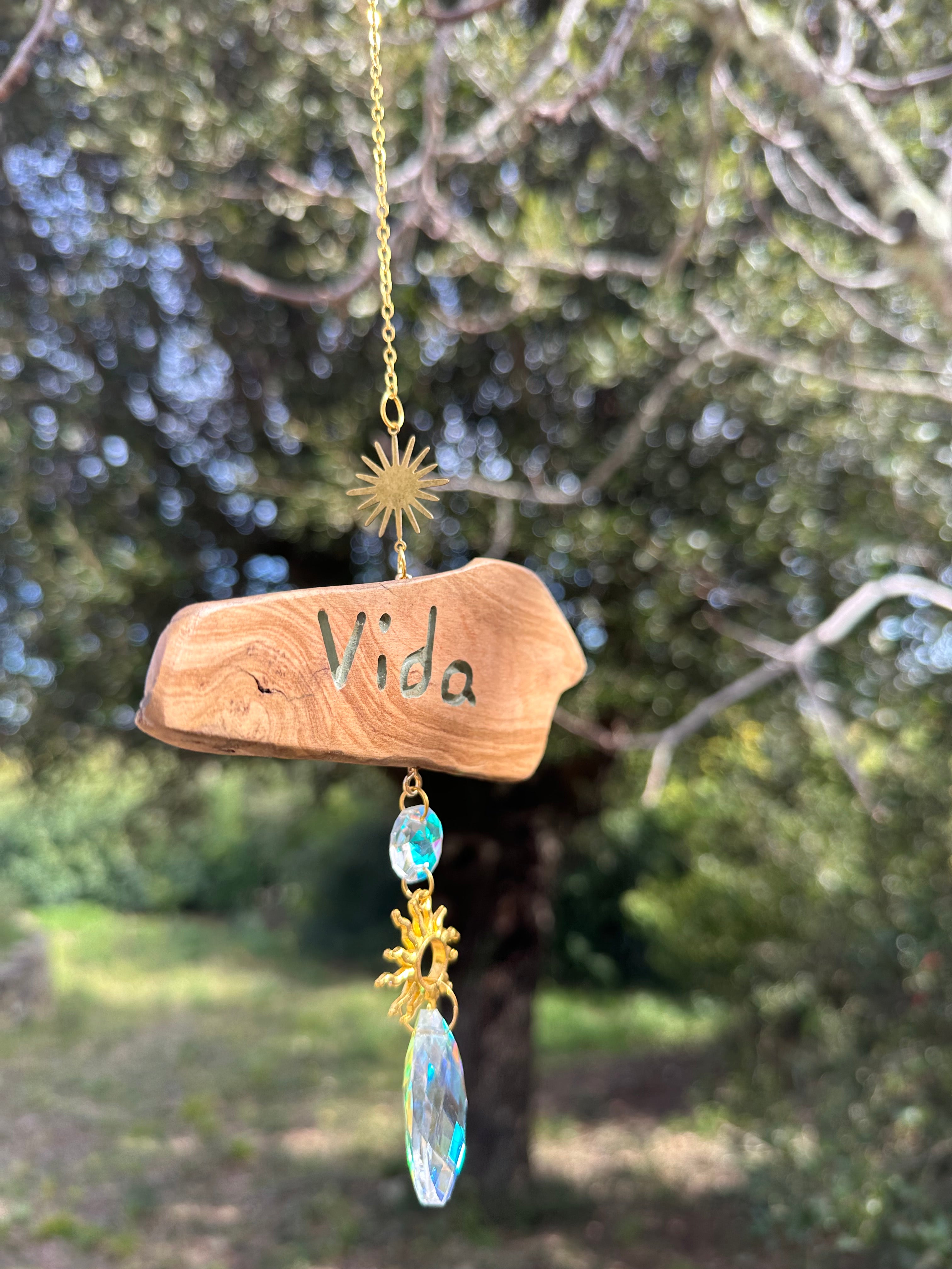 Attrape-soleil "Vida"