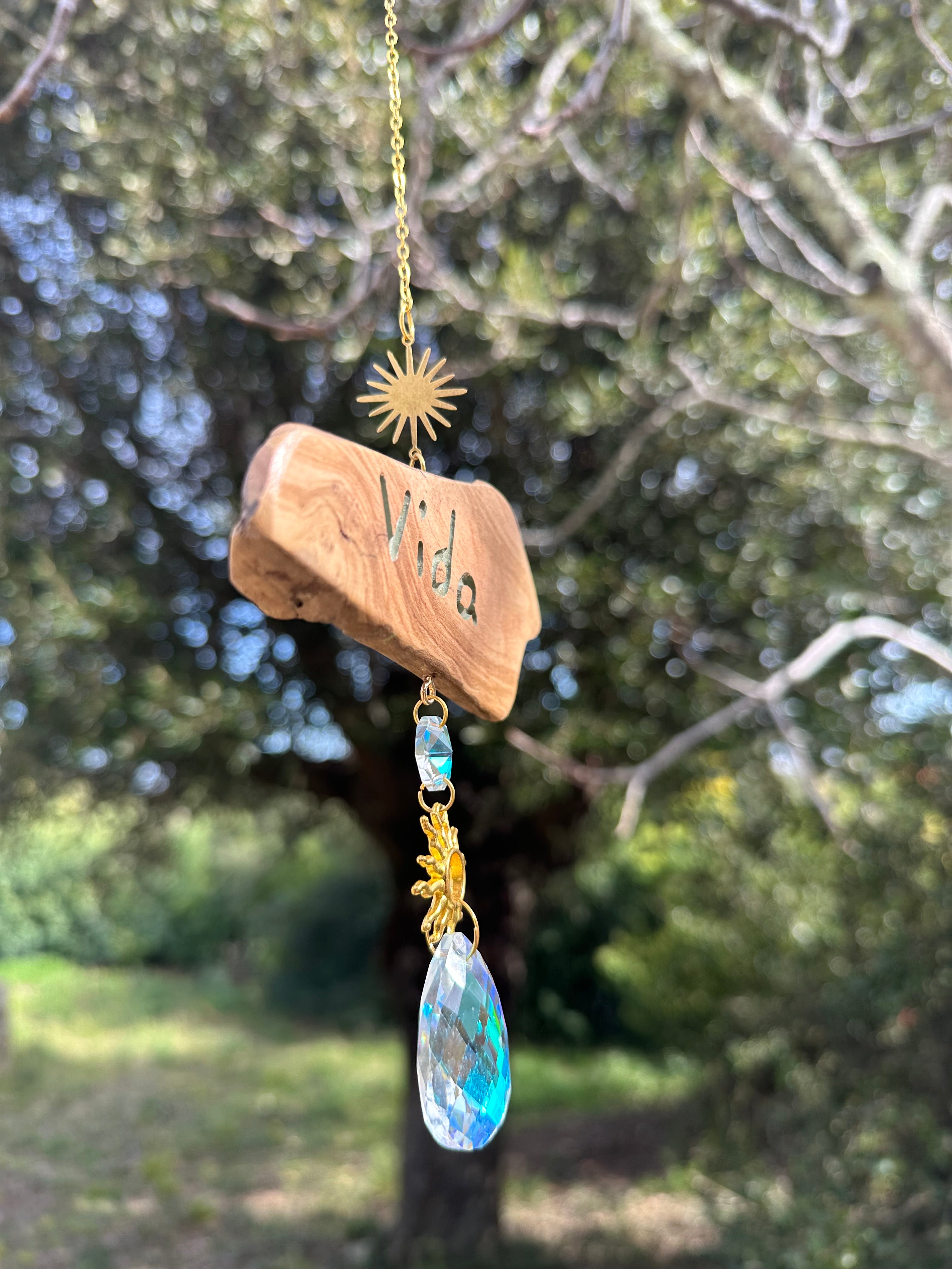 Attrape-soleil "Vida"