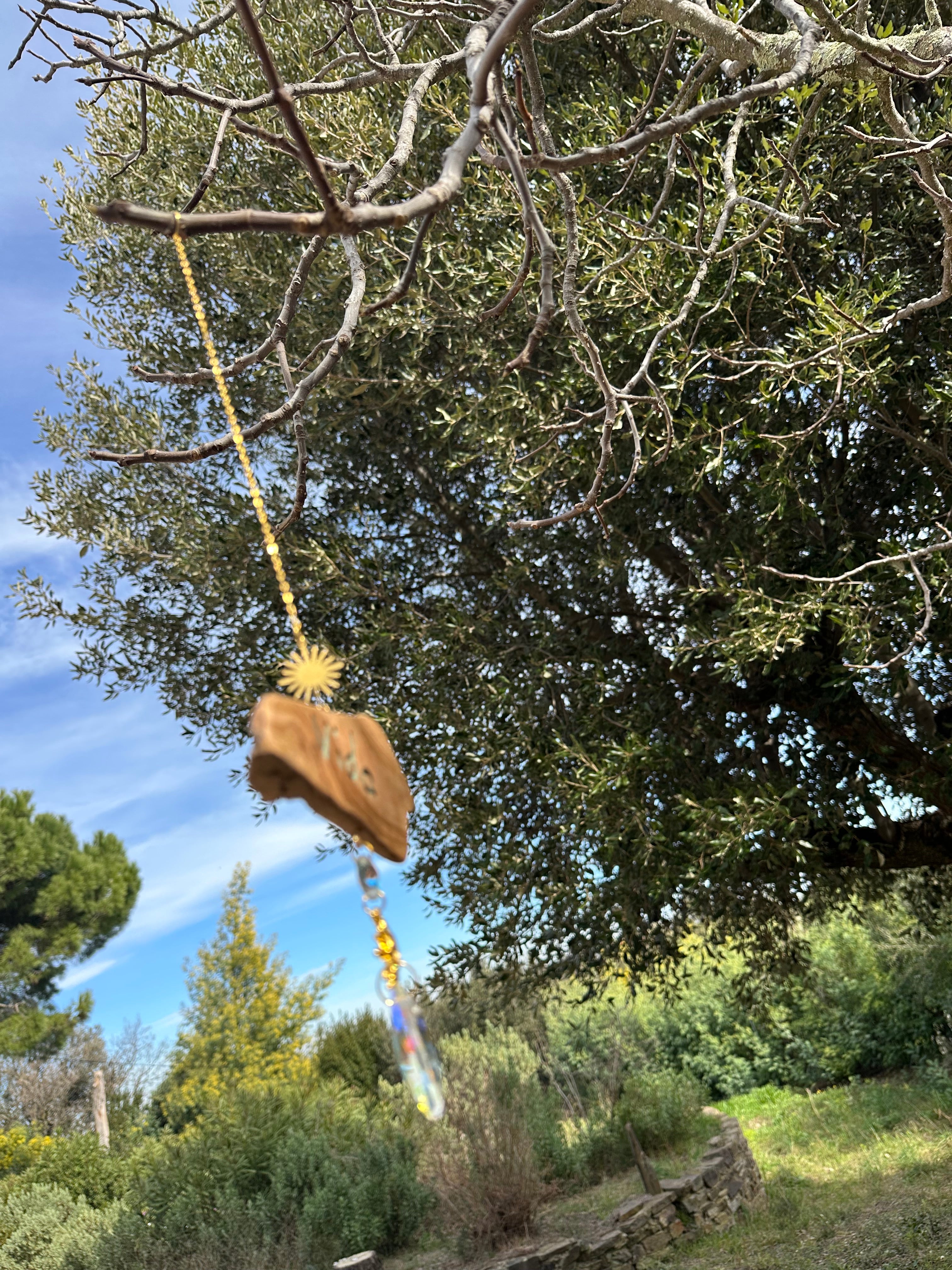 Attrape-soleil "Vida"