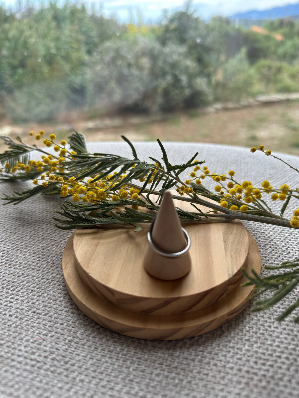 Bague Argentée Ginkgo Ouverte