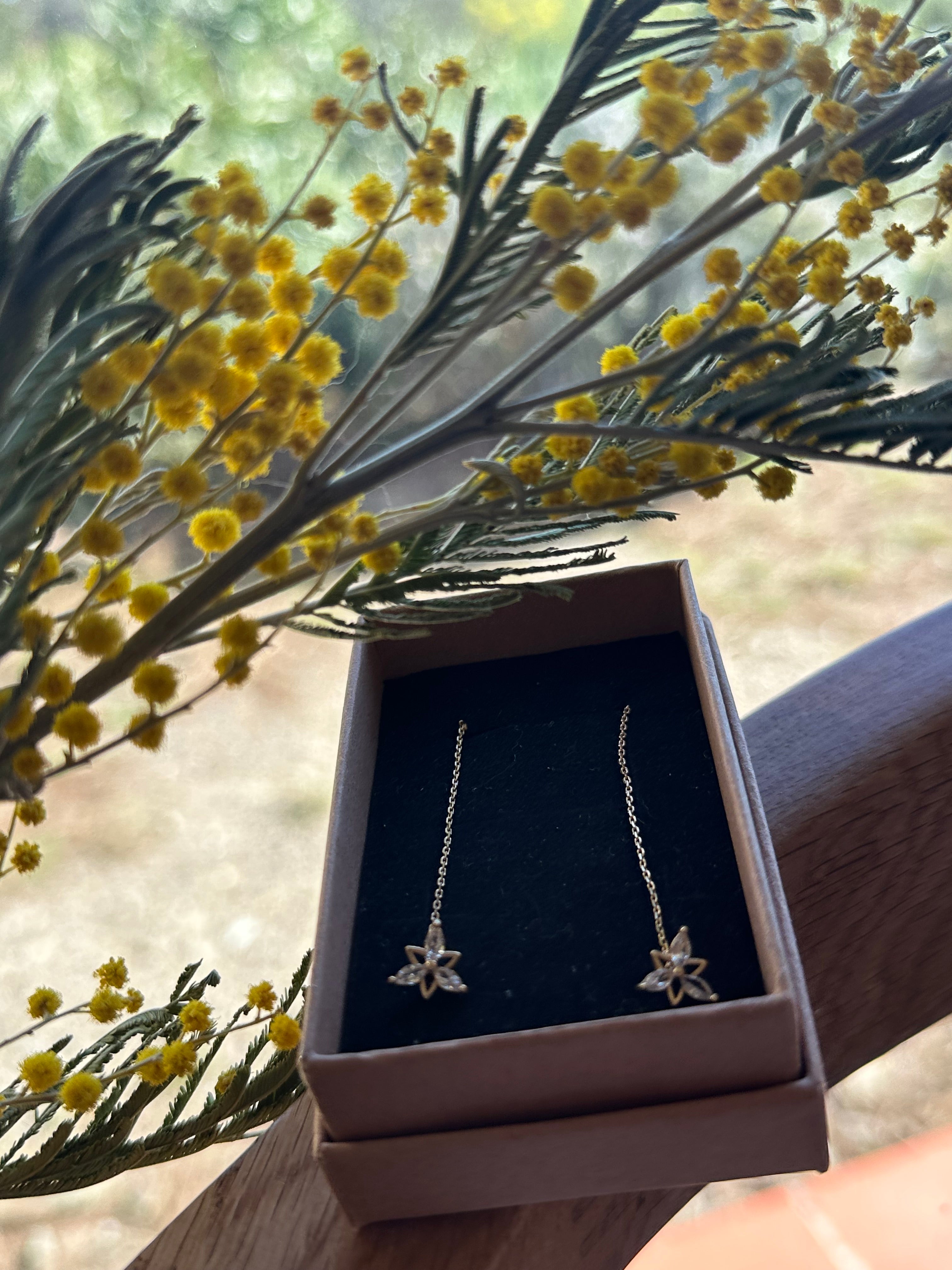 Boucles D'oreilles Etoile
