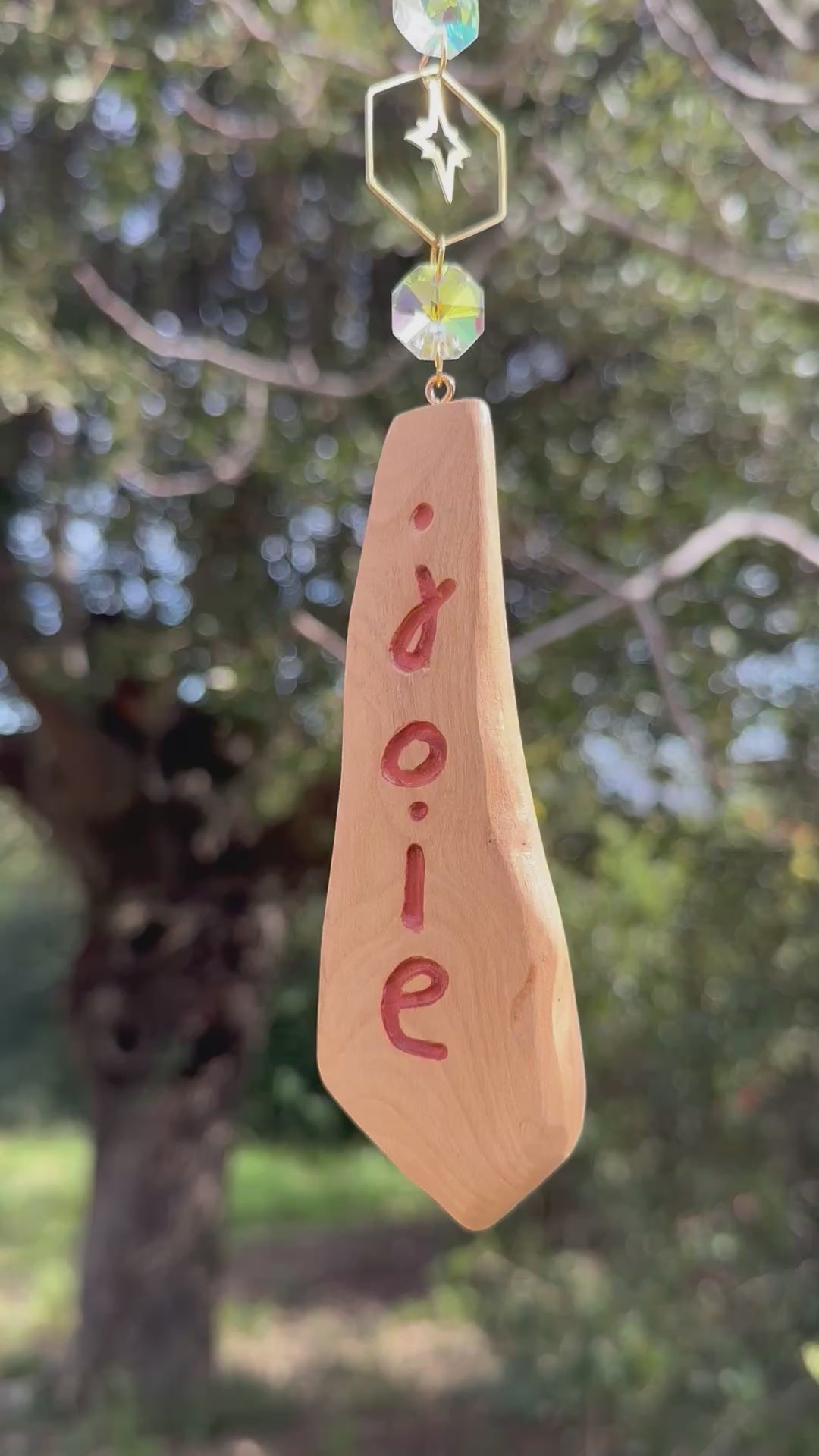 Attrape-soleil "Joie"