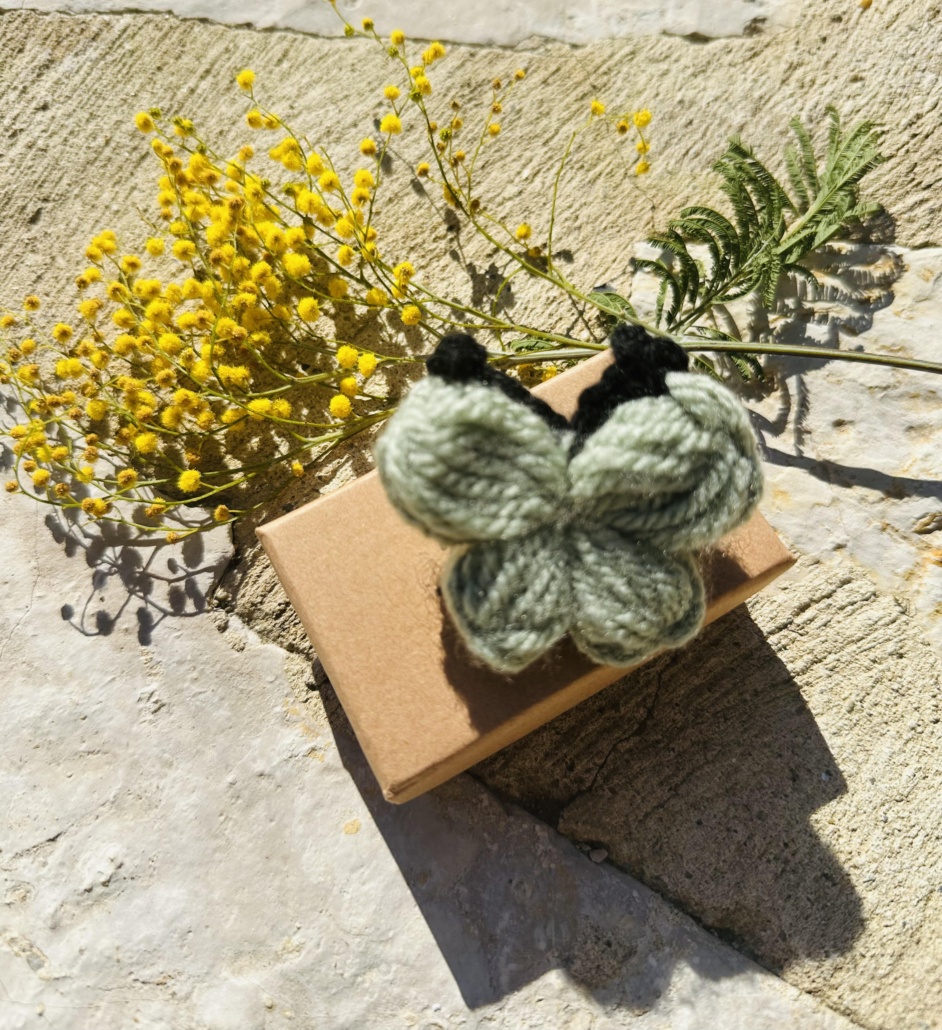 Broche Papillon Vert D'eau